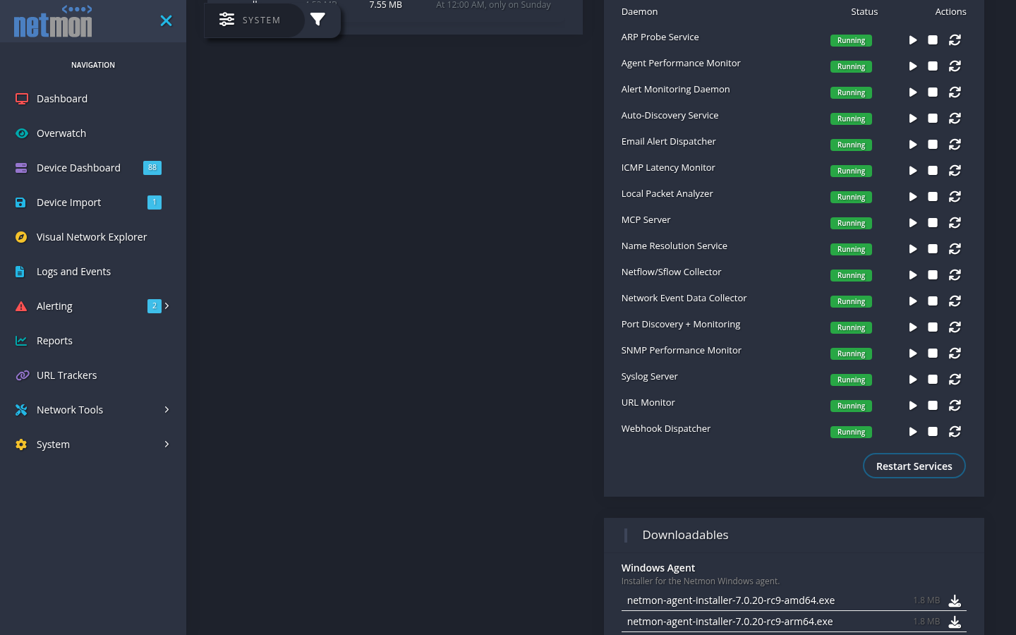 The Services card listing each monitoring service with live status and restart controls, above the staged Downloadables card